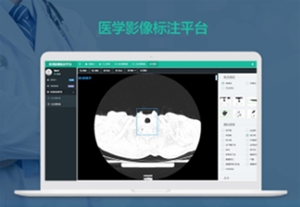 医学摄像标注平台